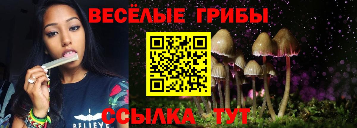 Псилоцибиновые грибы Psilocybe  Вход с VPN  Свободный  Псилоцибиновые грибы мицелий 