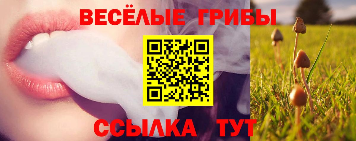 Галлюциногенные грибы Magic Shrooms Свободный
